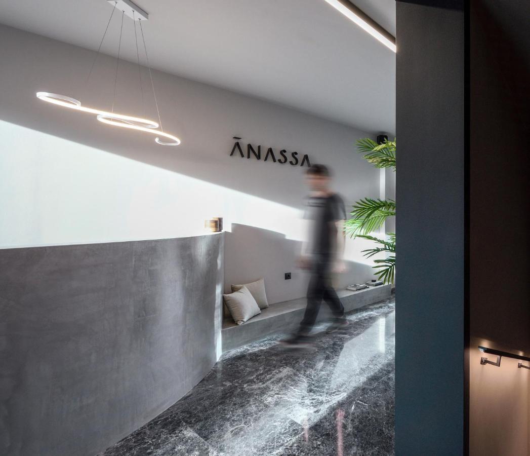 Anassa Butik Living Nikitiアパートホテル エクステリア 写真