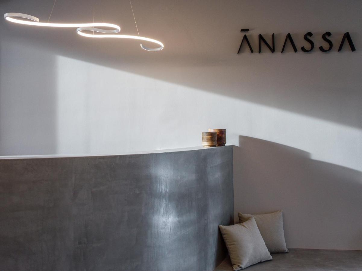 Anassa Butik Living Nikitiアパートホテル エクステリア 写真